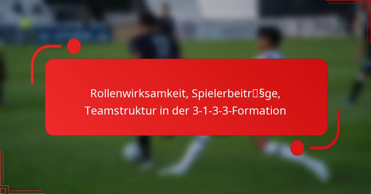 Rollenwirksamkeit, Spielerbeiträge, Teamstruktur in der 3-1-3-3-Formation