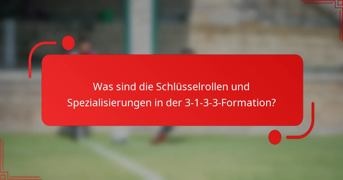 Was sind die Schlüsselrollen und Spezialisierungen in der 3-1-3-3-Formation?