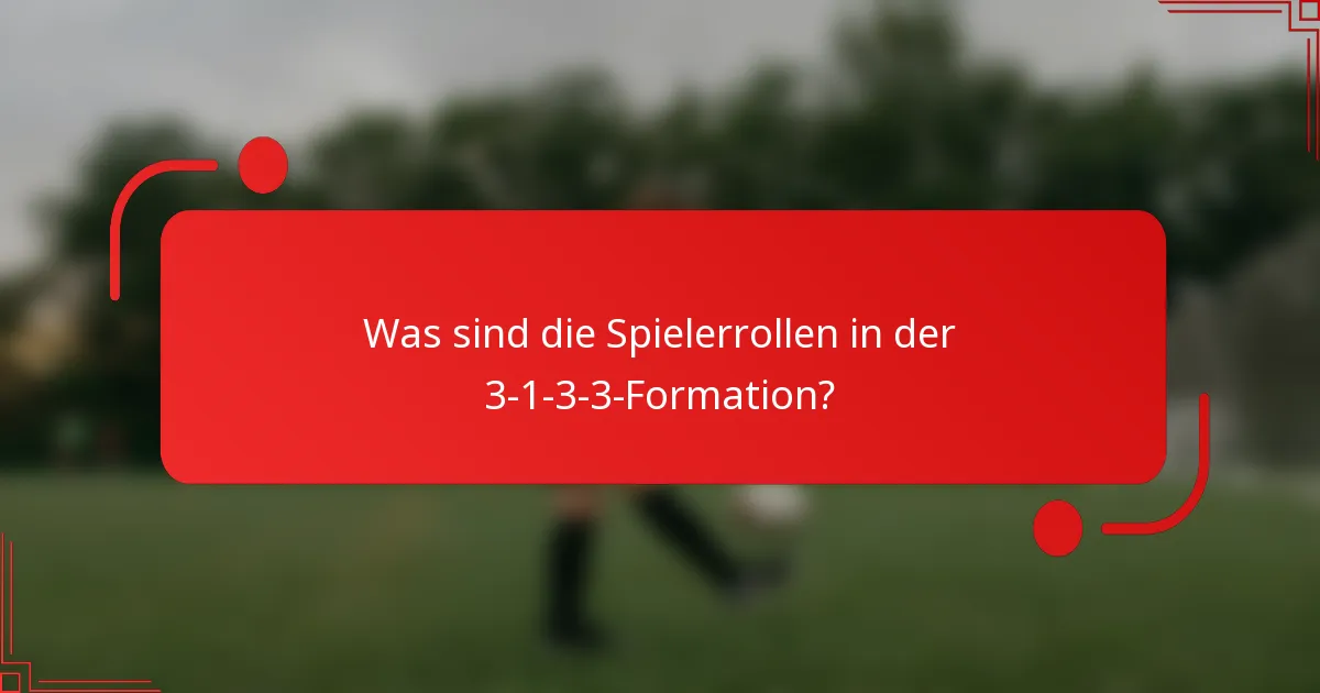 Was sind die Spielerrollen in der 3-1-3-3-Formation?